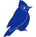 Blue Jay