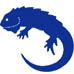 Iguana